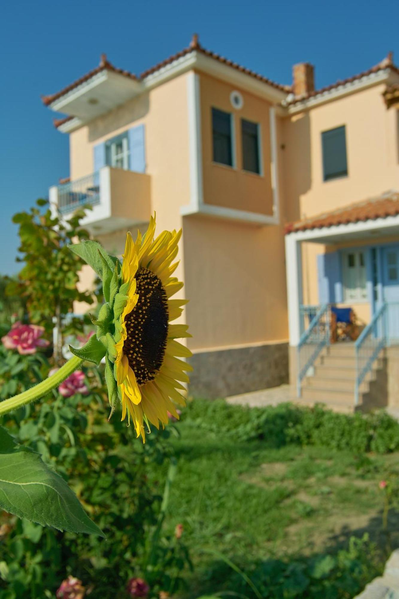 Marita Villa Lisvori Exterior photo
