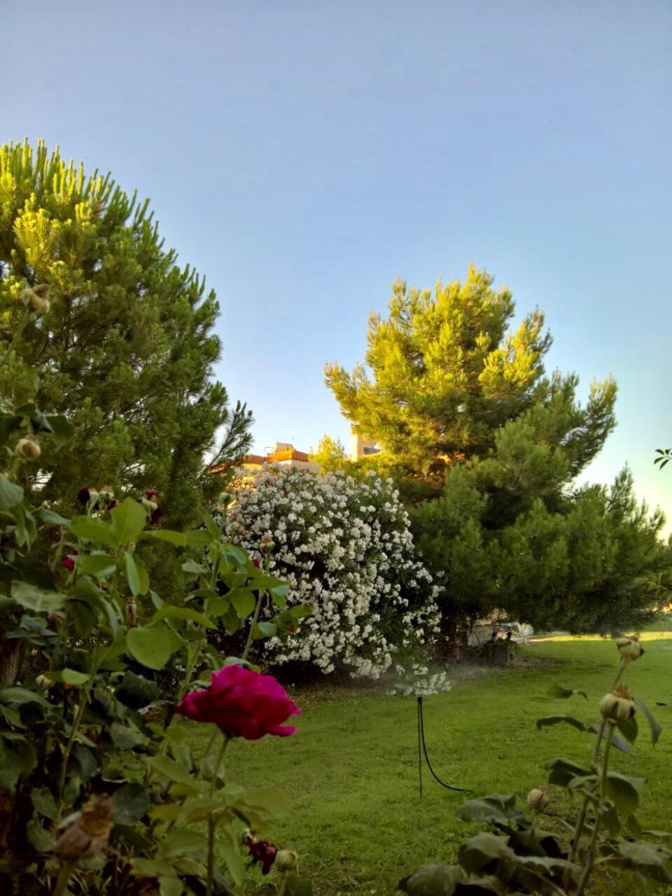 Marita Villa Lisvori Exterior photo