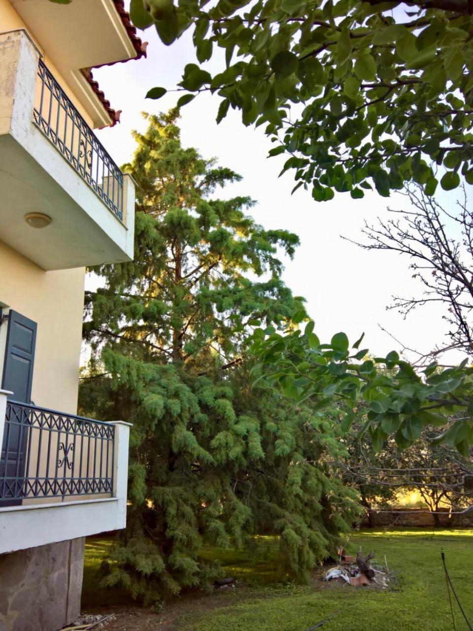 Marita Villa Lisvori Exterior photo