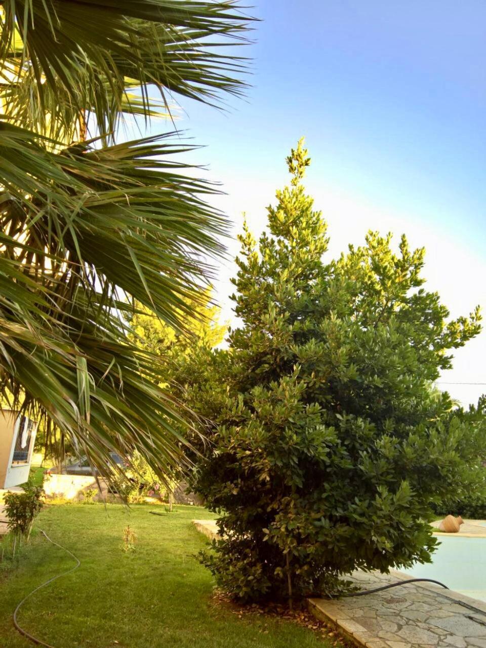 Marita Villa Lisvori Exterior photo